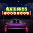 Elvis Frog in Vegas